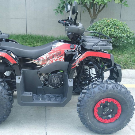 Квадроцикл RACER Gladiator 200, фото 5