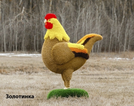 Топиари курочка Ряба/Золотинка - газон Eco + Deluxe, фото 4