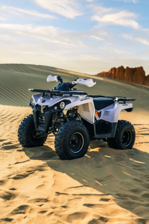 Квадроцикл SHARMAX Hummer 300, фото 42