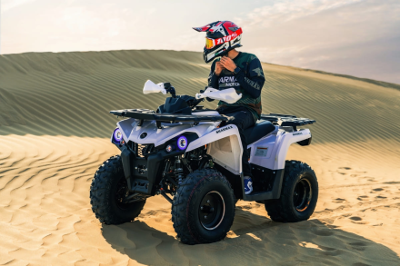 Квадроцикл SHARMAX Hummer 300, фото 40