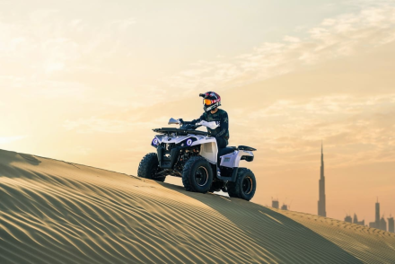 Квадроцикл SHARMAX Hummer 300, фото 39