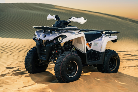 Квадроцикл SHARMAX Hummer 300, фото 38