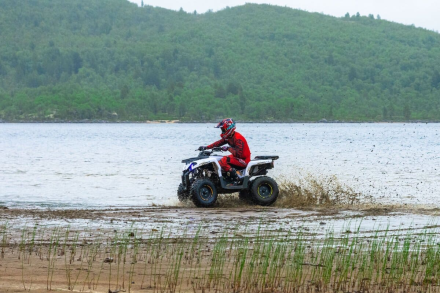 Квадроцикл SHARMAX Hummer 300, фото 25