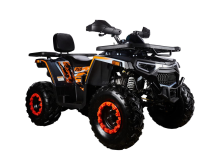 Квадроцикл AVANTIS H250 BIG NEW Basic, фото 2