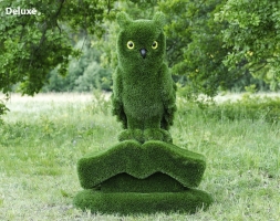 Топиари композиция сова на книге - газон Есо, фото 4