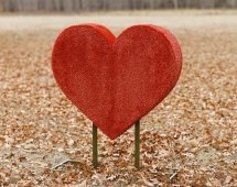 Топиари Сердце С надписью - газон Eco Топиари Сердце С надписью - газон Eco