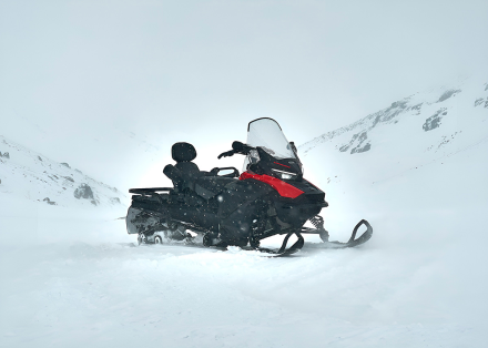 Снегоход SHARMAX ACE 1000 SWT, фото 15