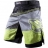 Шорты Hayabusa hayshorts064