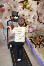 Беговая дорожка электрическая SE-T1502 Беговая дорожка электрическая SE-T1502