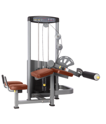  Сгибание ног лежа BRONZE GYM D-013A