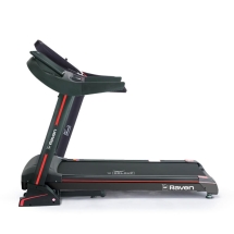 Беговая дорожка Orlauf Raven