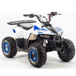 Квадроцикл MOTOLAND 110 Eagle (2021 Г.), фото 5