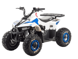 Квадроцикл MOTOLAND 110 Eagle (2021 Г.), фото 1