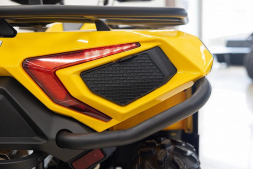 Квадроцикл HISUN Guardian 400L Long, фото 14 Квадроцикл HISUN Guardian 400L Long, фото 14