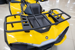 Квадроцикл HISUN Guardian 400L Long, фото 11 Квадроцикл HISUN Guardian 400L Long, фото 11