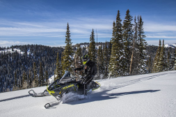 Снегоход POLARIS Patriot 9R RMK Khaos Slash 155, фото 4