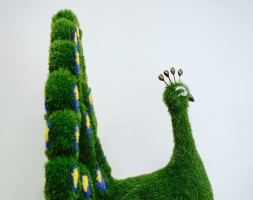 Топиари павлин Олео - газон Eco, фото 5