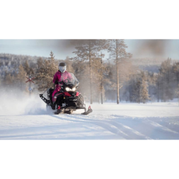 Снегоход BRP Lynx 59 Ranger 900 Ace Alpine (2024), фото 4