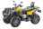 Квадроцикл СТЕЛС ATV 650 YL Leopard EFI (ПСМ)