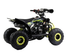 Квадроцикл MOTOLAND Raptor 110