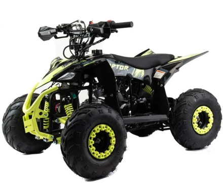 Квадроцикл MOTOLAND Raptor 110, фото 1