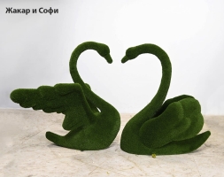 Топиари композиция лебеди Жакар и Жаклин - газон Eco, фото 2