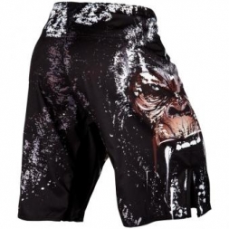 Шорты Venum venshorts0258, фото 3