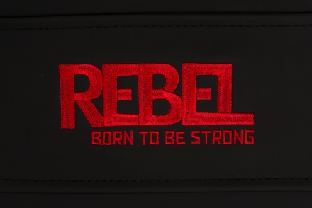 Скамья для пресса REBEL A26, фото 2