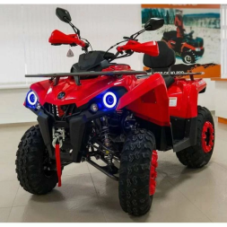 Квадроцикл MOTAX ATV Grizlik 200 New, фото 4