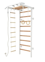 Стенка "ДСК - рукоход" Стенка "ДСК - рукоход"