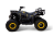Квадроцикл MOTAX Grizlik W200