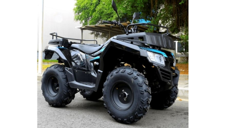 Квадроцикл RATO 200 Simple, фото 3