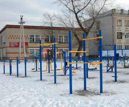 Овальная площадка для воркаута №4. Уровень - двор. 50 кв.м. W-1.7.4 , фото 2