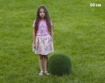 Топиари Шар в виде куста туи, 40 см - газон Eco