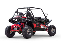 Багги SHARMAX XForce 320 Sport, фото 6