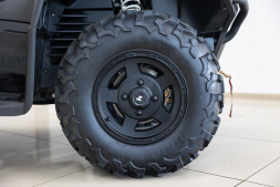 Квадроцикл HISUN Guardian 750S Short (ПСМ), фото 16 Квадроцикл HISUN Guardian 750S Short (ПСМ), фото 16