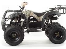 Квадроцикл MOTOLAND 200 All Road (2021 Г.) Квадроцикл MOTOLAND 200 All Road (2021 Г.)