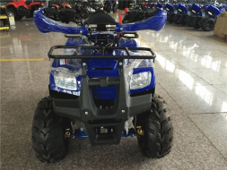 Квадроцикл ATV Atomik Sport, фото 3