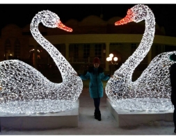 Световая композиция Лебедь и лебедушка 012, фото 2