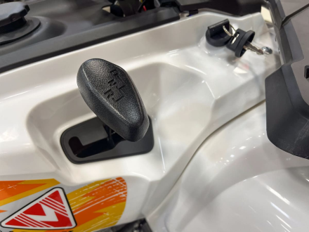 Квадроцикл MOTAX Grizlik 200 ULTRA BIG, фото 21