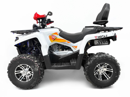 Квадроцикл MOTAX Grizlik 200 ULTRA BIG, фото 18