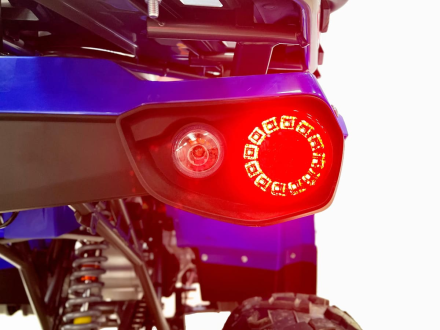 Квадроцикл MOTAX Grizlik 200 ULTRA BIG, фото 17