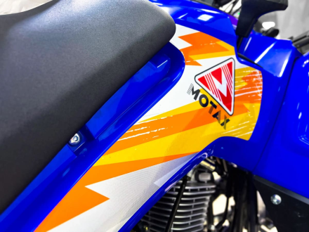 Квадроцикл MOTAX Grizlik 200 ULTRA BIG, фото 16