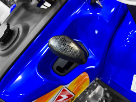 Квадроцикл MOTAX Grizlik 200 ULTRA BIG, фото 13