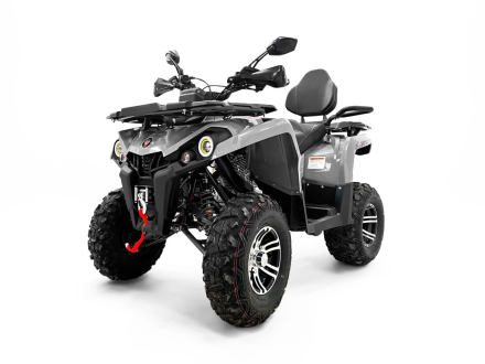 Квадроцикл MOTAX Grizlik 200 ULTRA BIG, фото 1