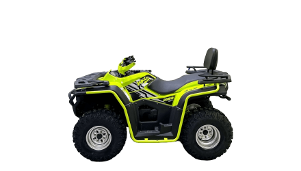 Квадроцикл BISON 330, фото 2