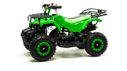 Квадроцикл MOTOLAND 50 Scorpion (2021 Г.), фото 5