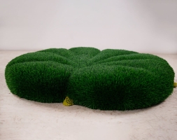 Топиари кувшинка - газон Eco, фото 1
