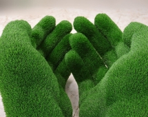 Топиари композиция Ладони - газон Eco Топиари композиция Ладони - газон Eco