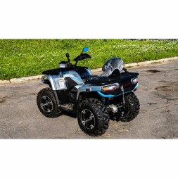 Квадроцикл MotoLand ATV 300 MAX X, с ПСМ, фото 8
